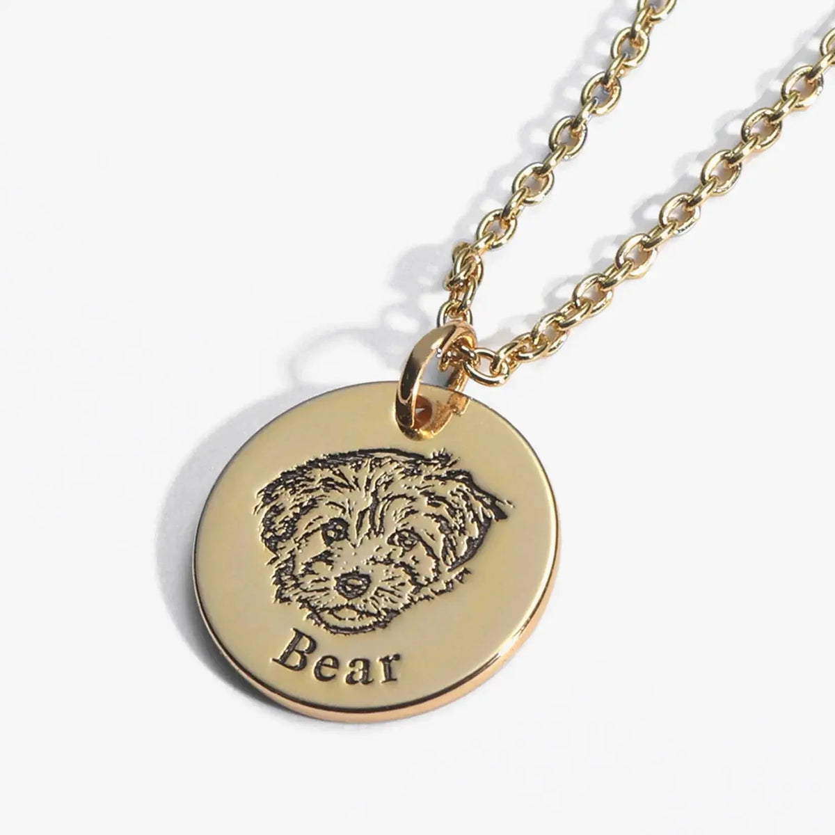 Custom Pet Face Necklace  NostalgiaJewels