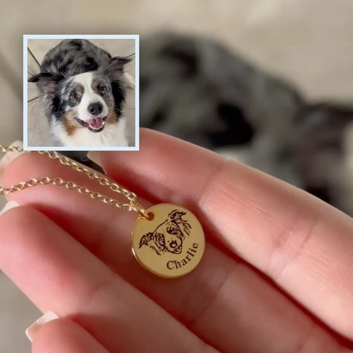 Custom Pet Face Necklace  NostalgiaJewels