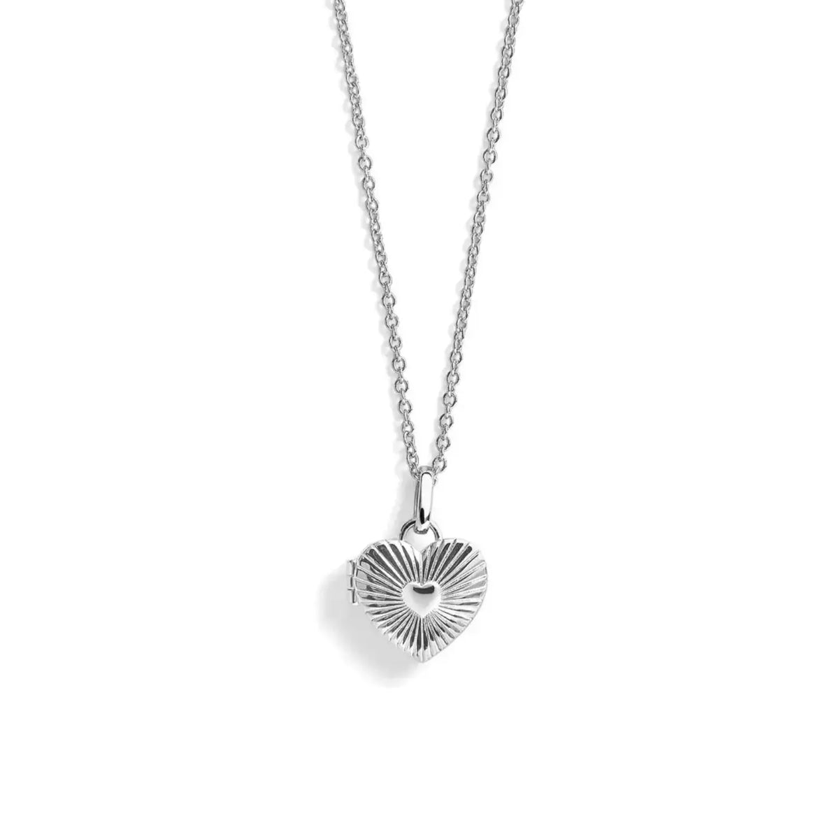 Custom Photo Heart Locket Necklace  NostalgiaJewels
