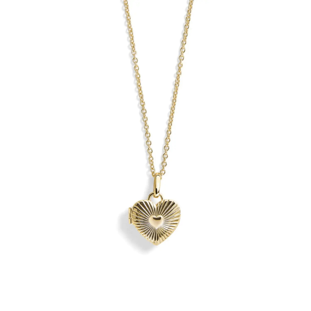 Custom Photo Heart Locket Necklace  NostalgiaJewels